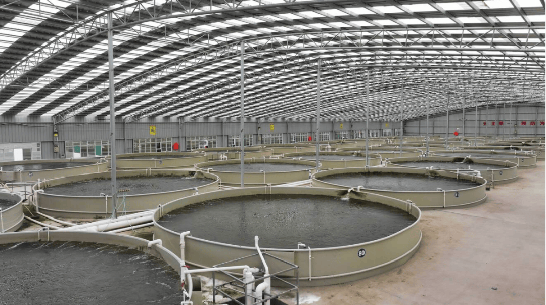陸良水產大縣顯實力，水產品量產值雙攀升 920天的辛勤耕耘獲9.16億元碩果